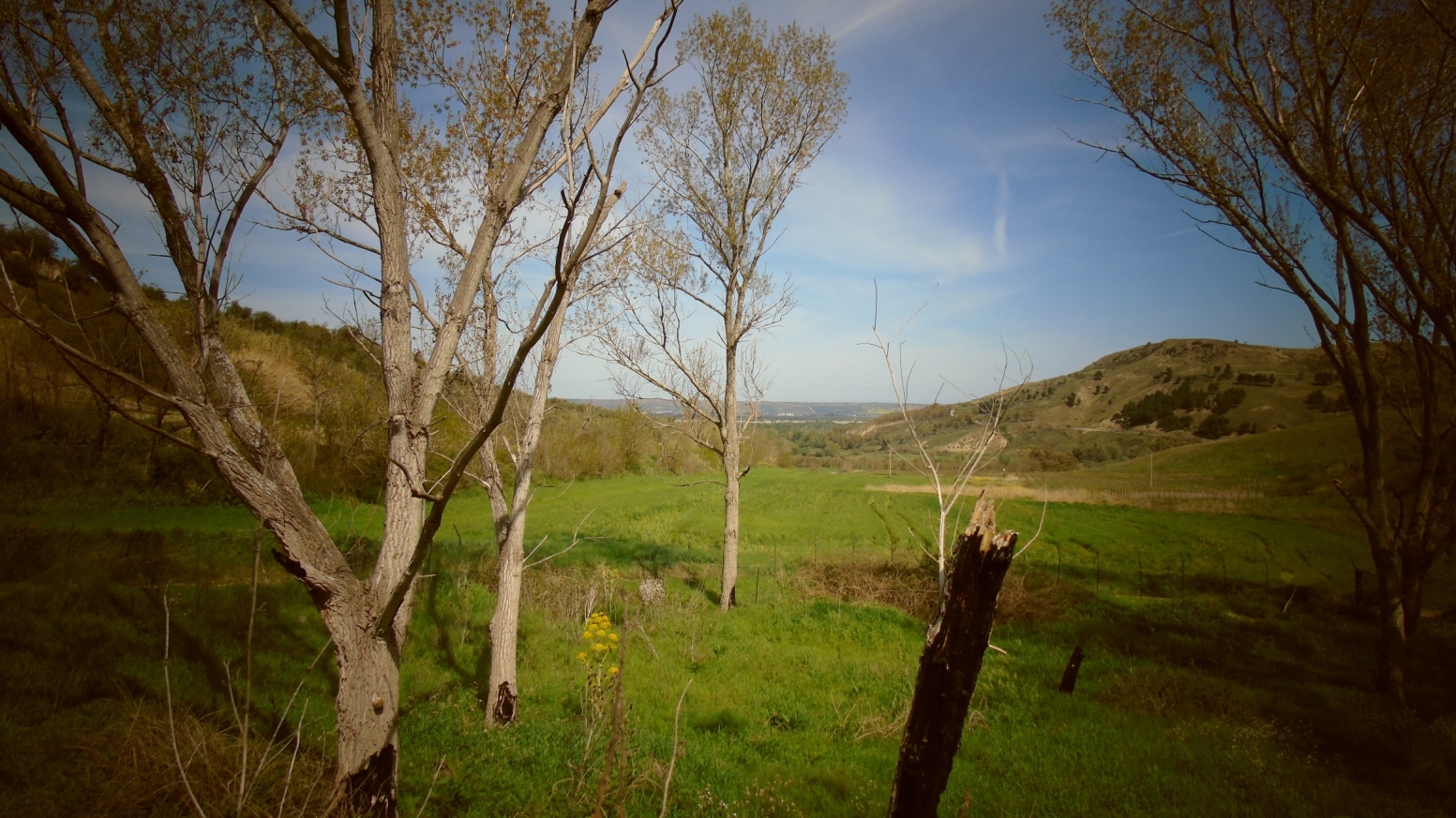 In agro di Venosa - Panorama da piccolo laghetto adiacente alla SP 168 - img. 3
