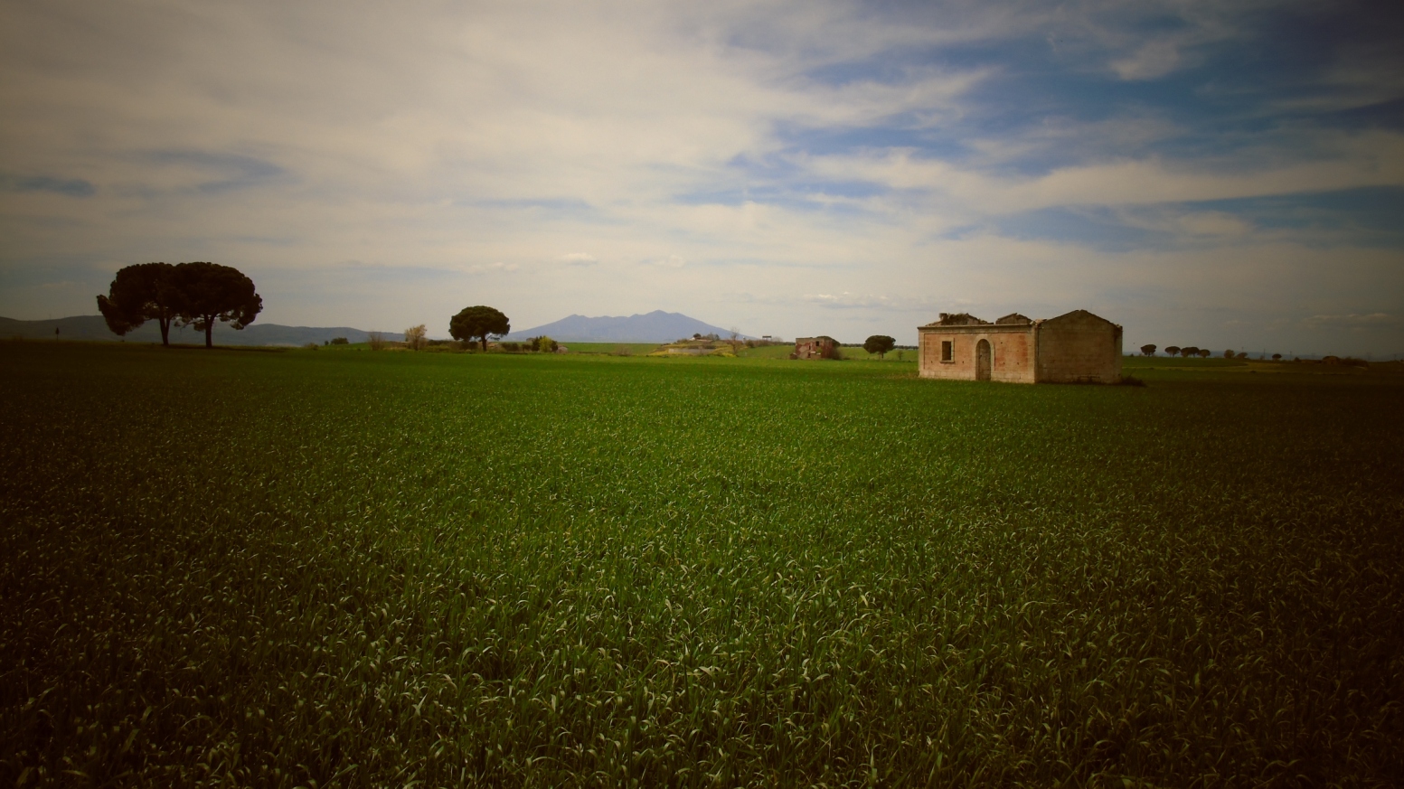 In agro di Venosa - Veduta dalla Bradanica img. 1

