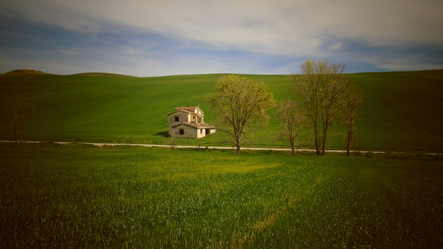 In agro di Genzano di Lucania - Veduta dalla SP 129 img. 5