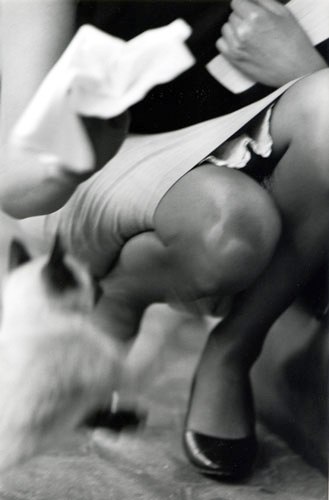 Una foto di Bernard Plossu