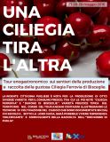 Una ciliegia tira l'altra (Copertina)