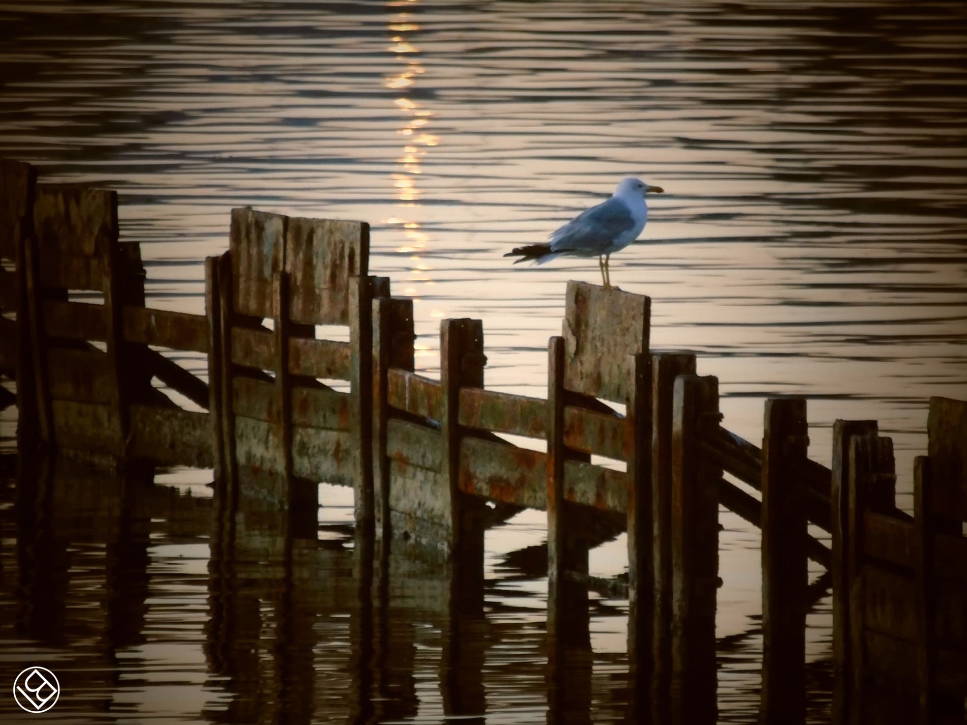 Spettacolare alba al porto di S.Spirito