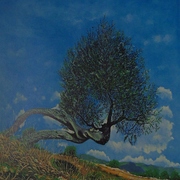 Oronzo Cramarossa, L'ulivo, fotolito, cm 41,5 x 60