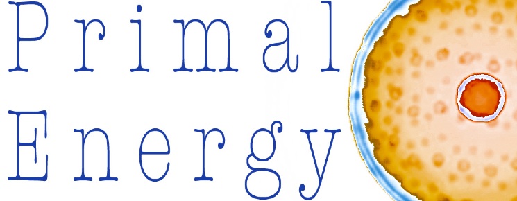 Banner di Primal Energy