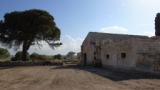 Da Sp 151, territorio di Ruvo di Puglia