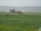 Casa Marvulli, contrada Maricello (40.878037, 16.400404) Sp 202 - territorio di Altamura