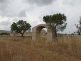 Ruderi vicinanza Centro Studi Torre di Nebbia (Altamura - 40.867486, 16.454846)