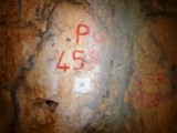Escursione in Lama delle Grotte e dintorni in agro di Ruvo di puglia 