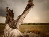 Escursione in Lama delle Grotte e dintorni in agro di Ruvo di Puglia