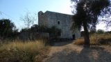 Torre in agro di Palese (via Torre di Brencola)