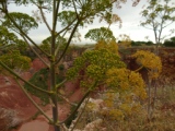 Presso cava di Bauxite in agro di Spinazzola, Sp 138