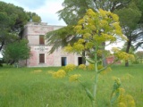 Casa Cantoniera di Castel del Monte, Andria