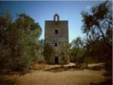 Escursione in agro di Bisceglie: Torre di Saggina 