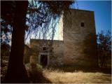 Escursione in agro di Bisceglie: Torre di Saggina 