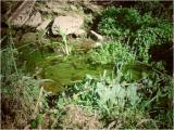 Escursione in agro di Bisceglie: Torre di Saggina 