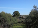 Casa Regina , in agro di Trani-Corato (Lama Cupa)