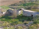 Masseria Piedicotta, in agro di Gravina in Puglia, c/o Contrada Bosco Difesa Grande