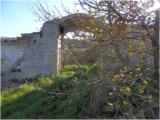 Masseria Piedicotta, in agro di Gravina in Puglia, c/o Contrada Bosco Difesa Grande