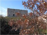 Masseria Piedicotta, in agro di Gravina in Puglia, c/o Contrada Bosco Difesa Grande