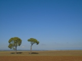 Paesaggio di Alta Murgia