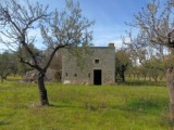 Paesaggio di Murgia