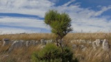 Paesaggio di Alta Murgia