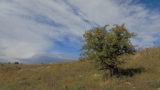 Paesaggio di Alta Murgia