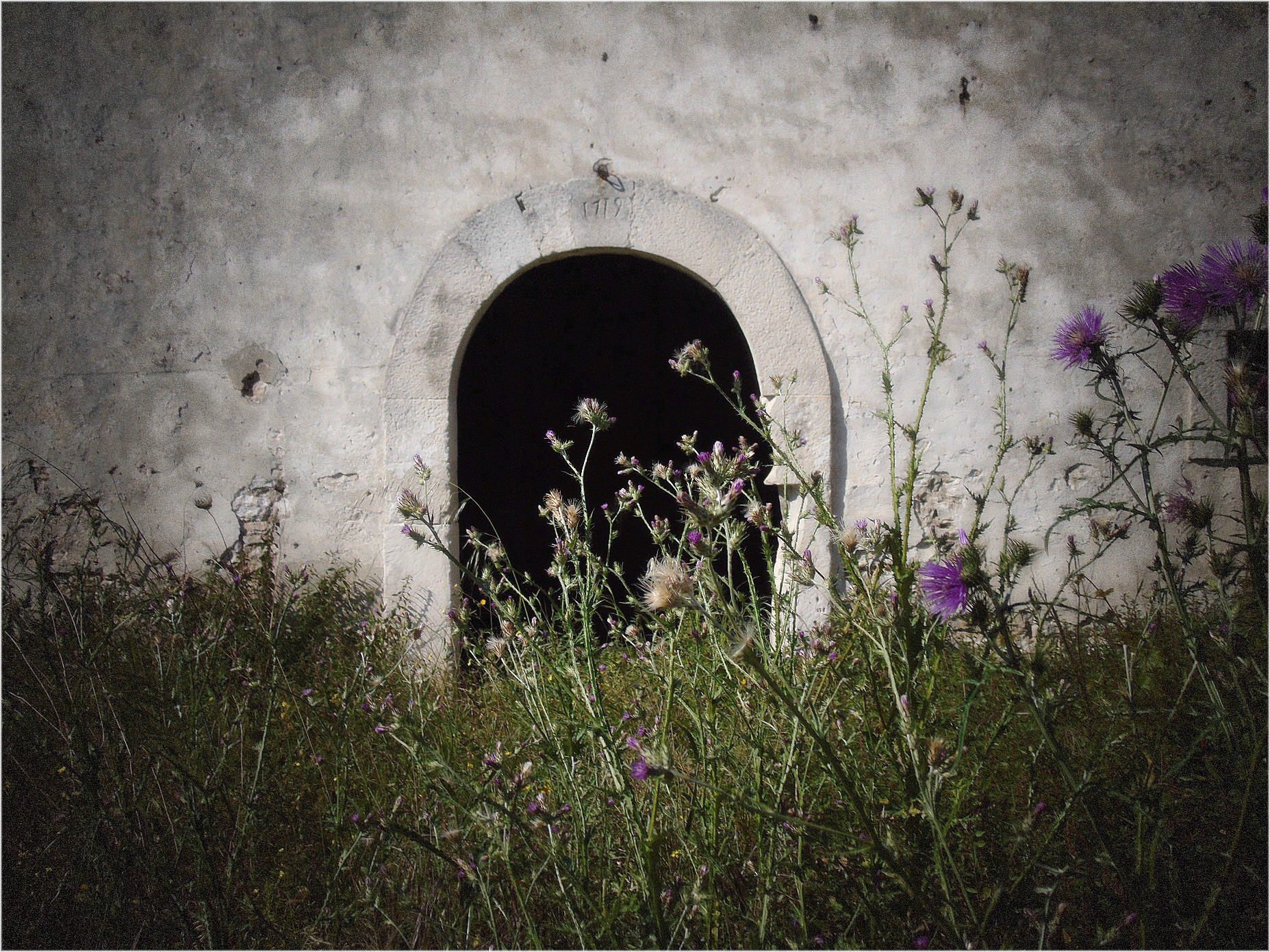 Rudere di antica masseria in agro di Molfetta - 04
