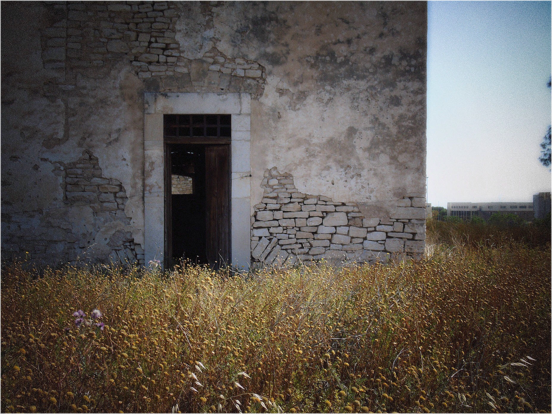 Rudere di antica masseria in agro di Molfetta - 07
