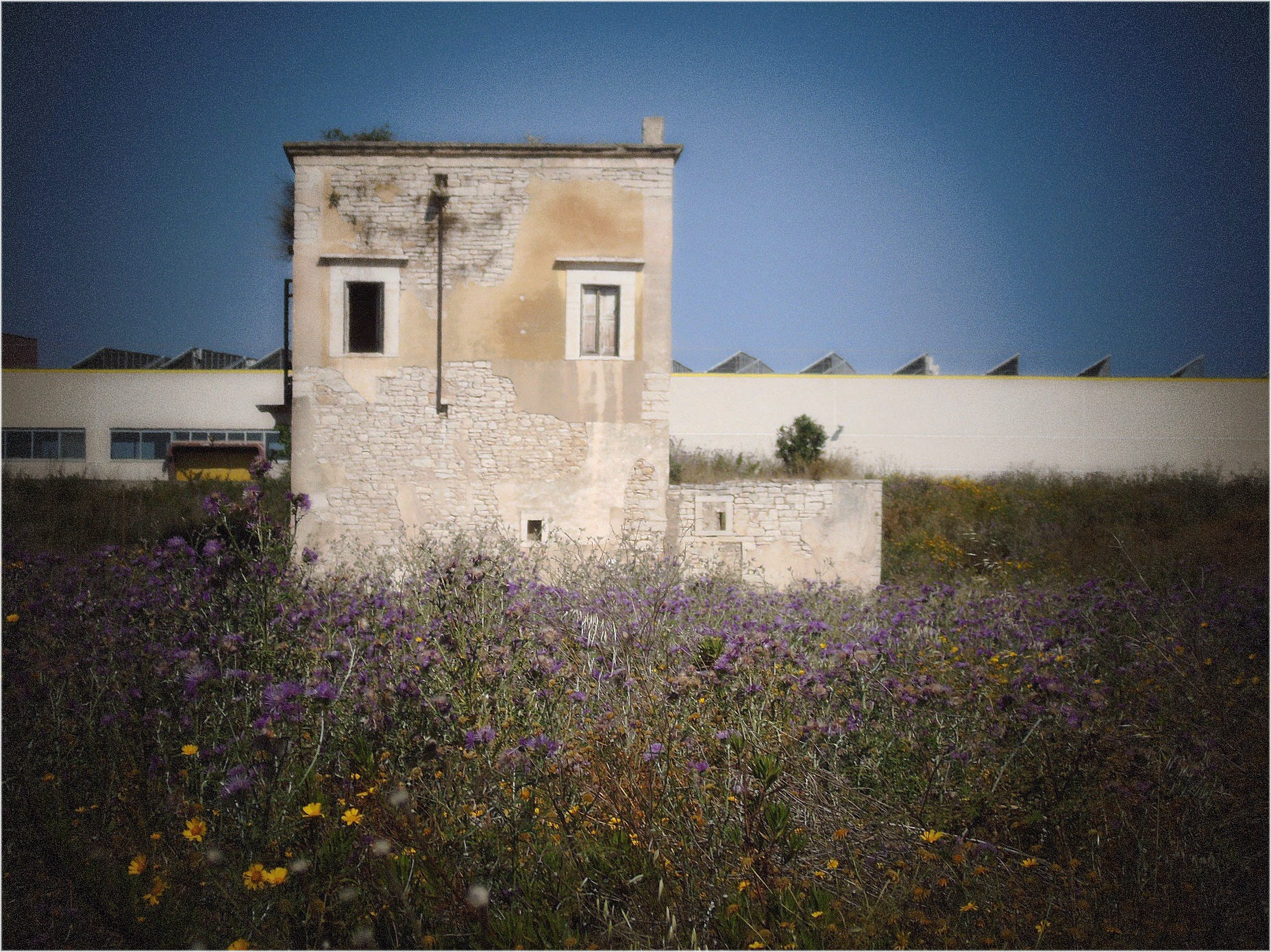 Rudere di antica masseria in agro di Molfetta - 08
