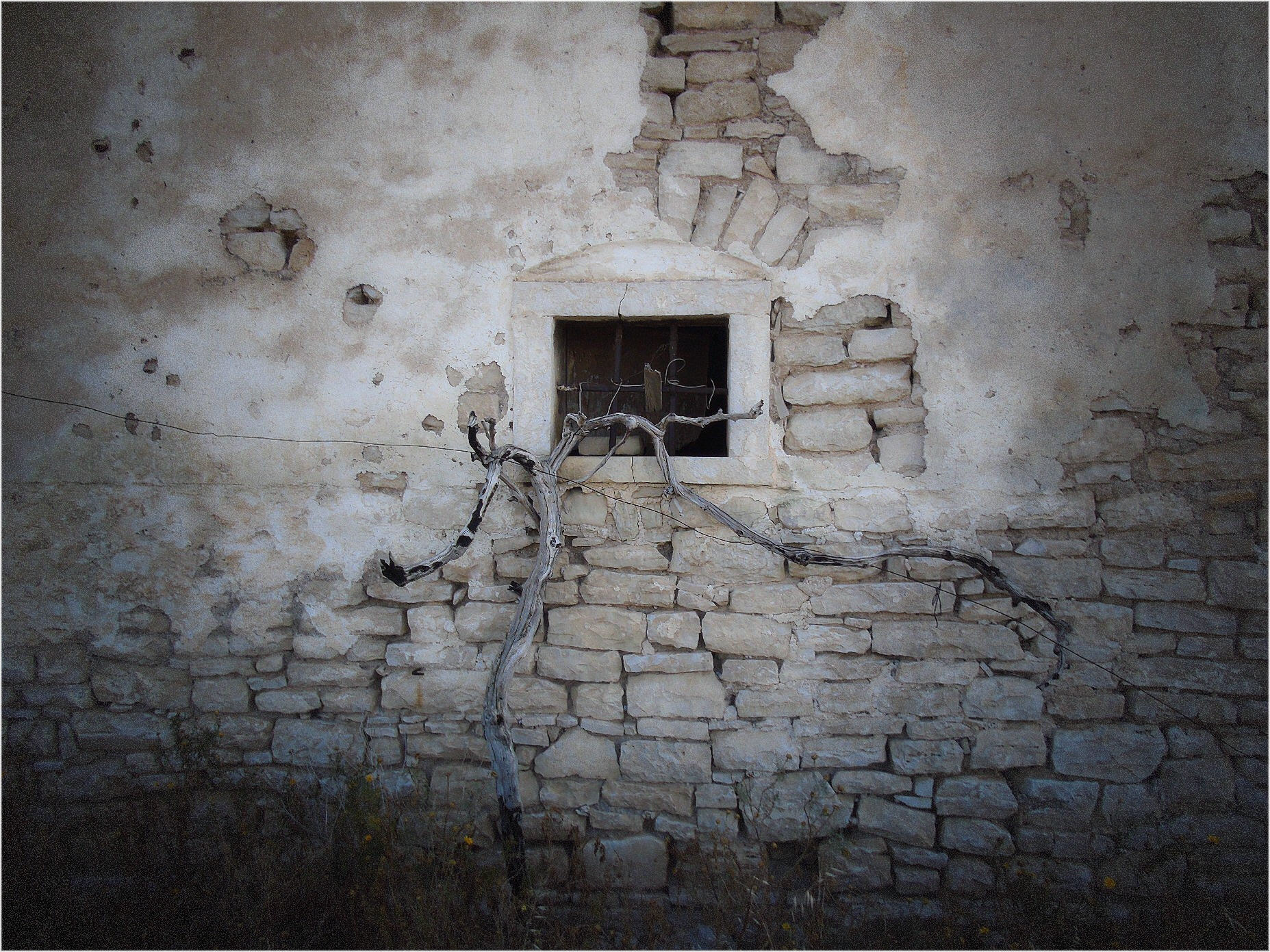 Rudere di antica masseria in agro di Molfetta - 11
