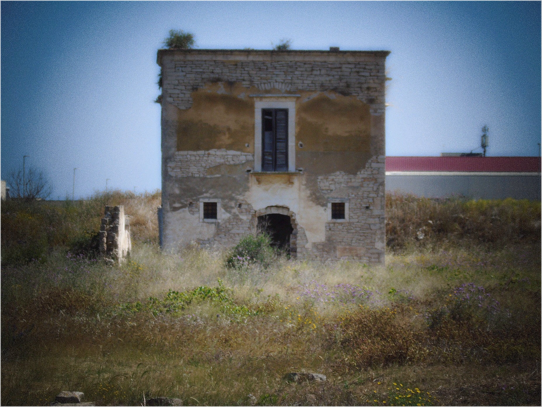 Rudere di antica masseria in agro di Molfetta - 13
