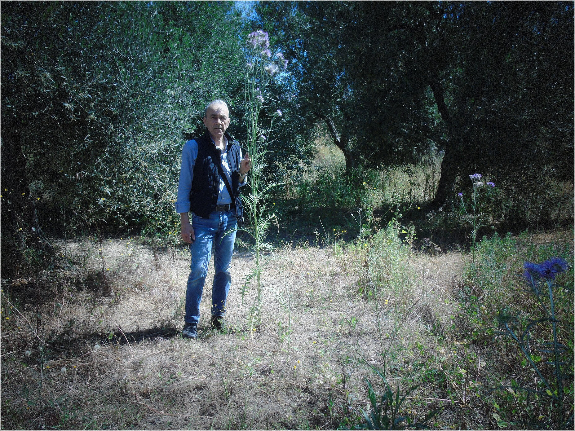 Rudere di antica masseria in agro di Molfetta - 14
