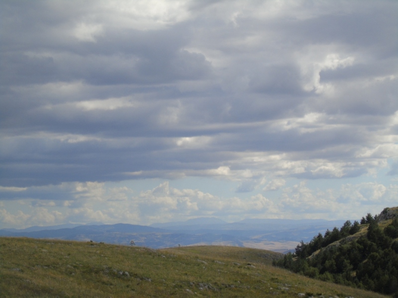 Paesaggio di Murgia