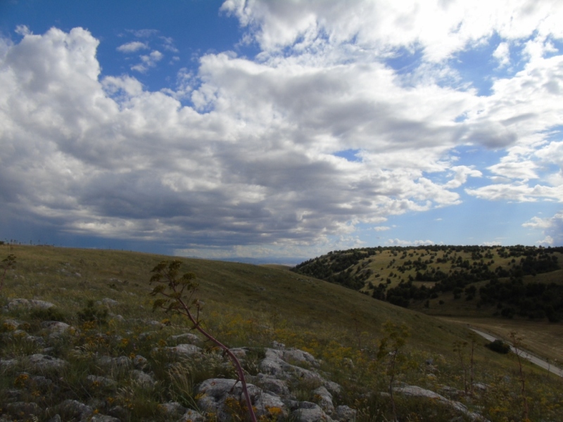 Paesaggio di Murgia