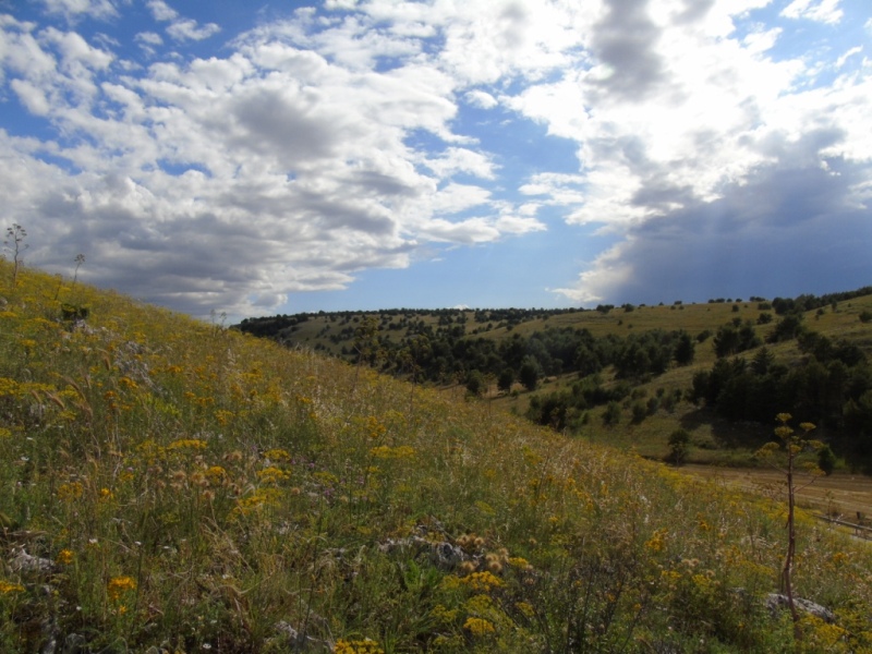 Paesaggio di Murgia