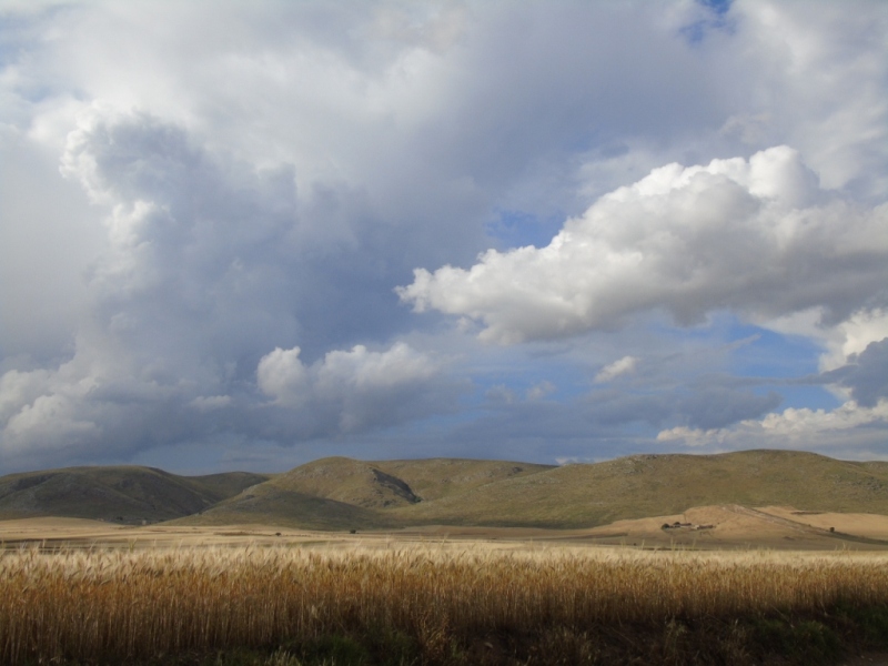 Paesaggio di Murgia