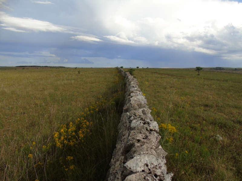 Paesaggio di Murgia