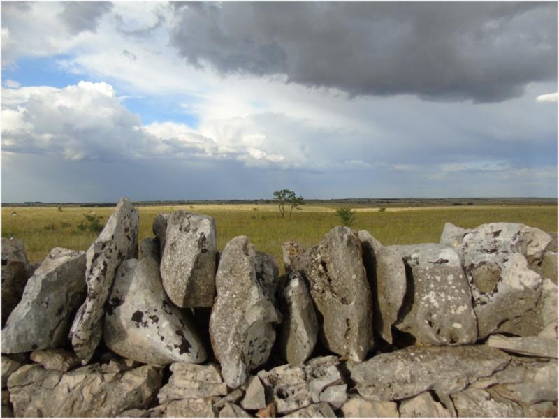 Paesaggio di Murgia