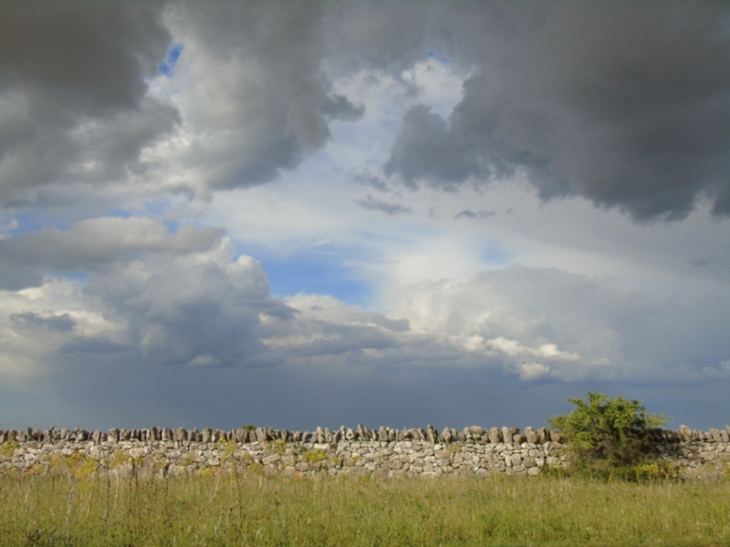 Paesaggio di Murgia