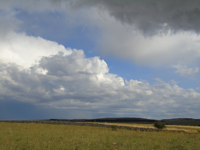 Paesaggio di Murgia