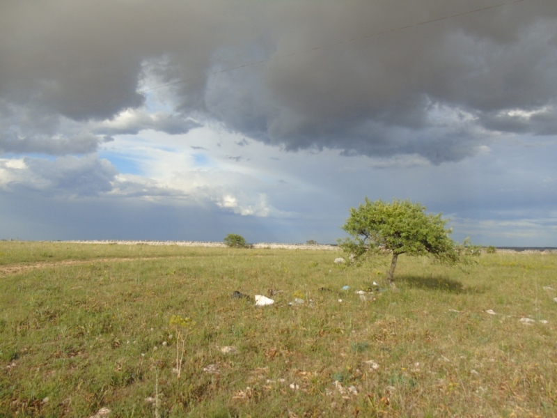 Paesaggio di Murgia