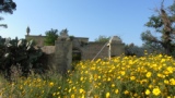 Masseria Caffariello (Sp 54, Bari)