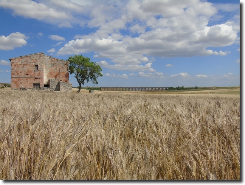 Paesaggio di Murgia