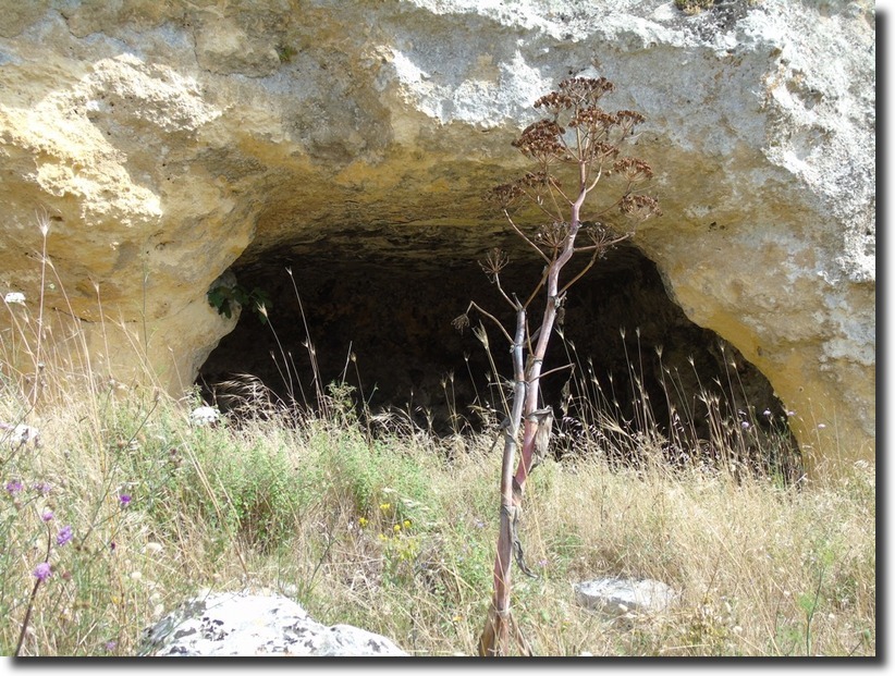 Paesaggio di Murgia