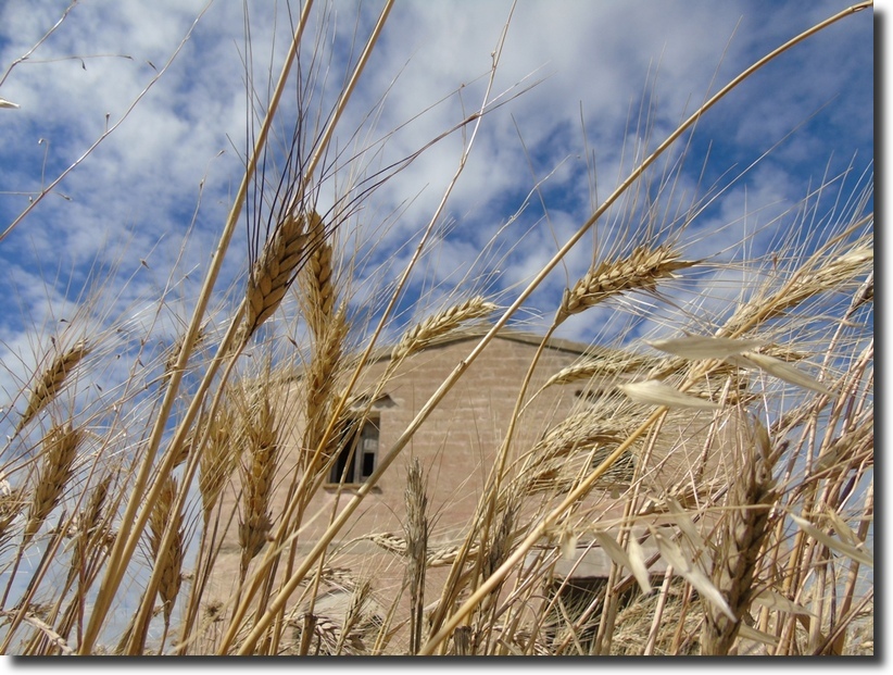 Paesaggio di Murgia