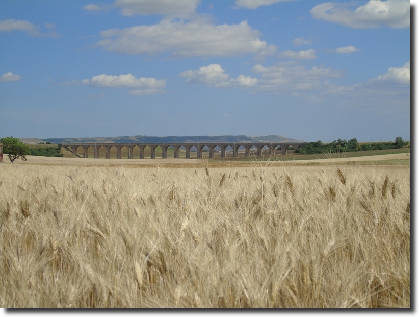 Paesaggio di Murgia