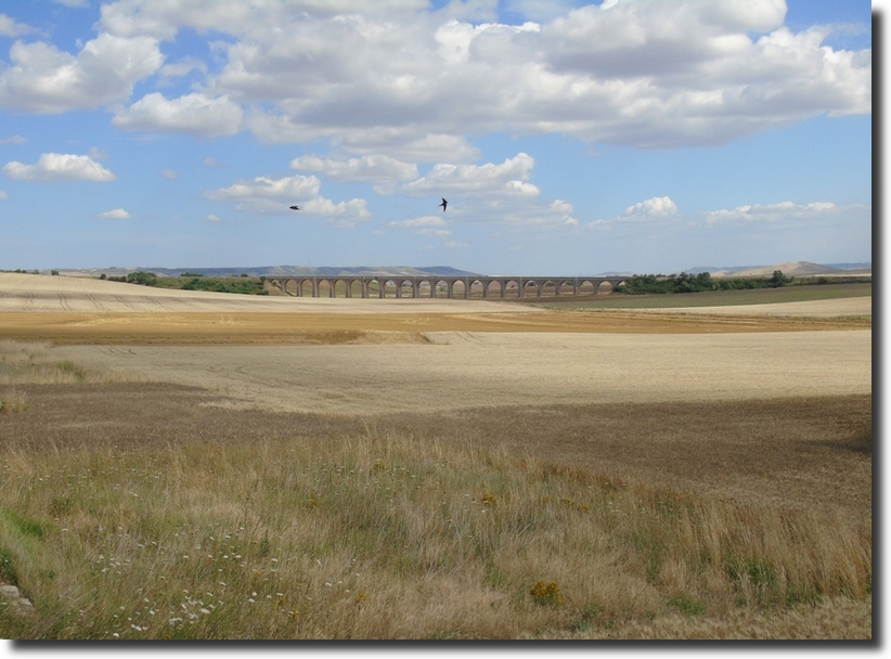 Paesaggio di Murgia