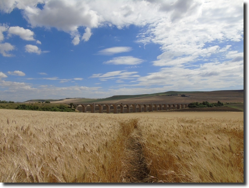 Paesaggio di Murgia