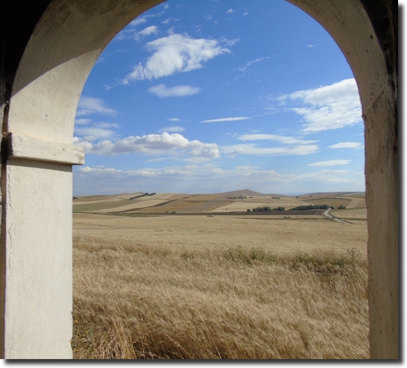 Paesaggio di Murgia